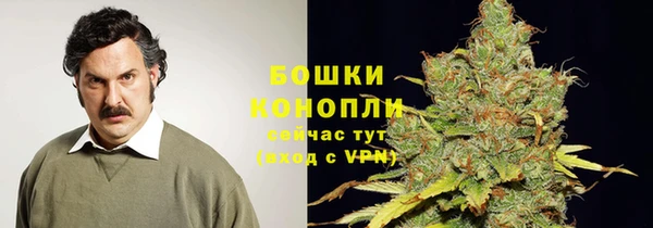 индика Касимов