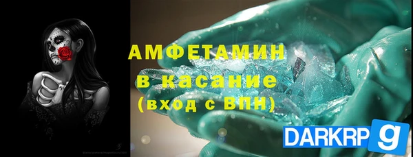 индика Касимов