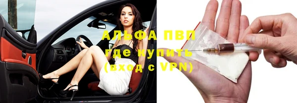 гидра Киренск