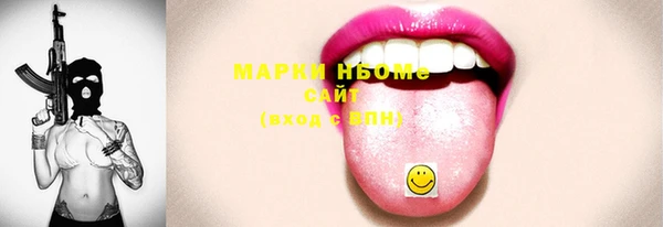индика Касимов
