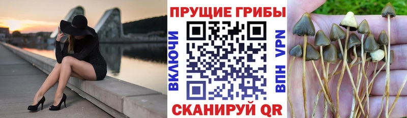 Галлюциногенные грибы ЛСД  Купить где  Орлов 